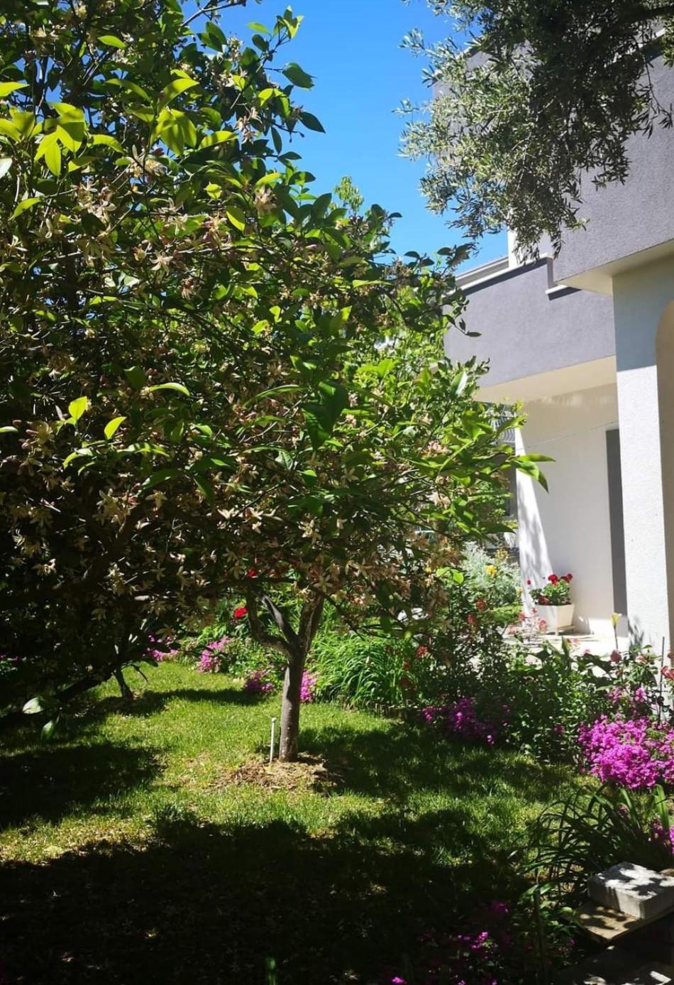 Apartmani Dianna Каштела Экстерьер фото